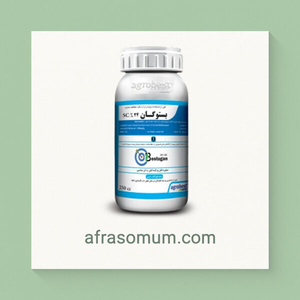 بستوگان 240 اس - سی