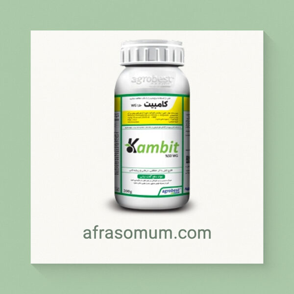 کامبیت 500 دبلیو – جی