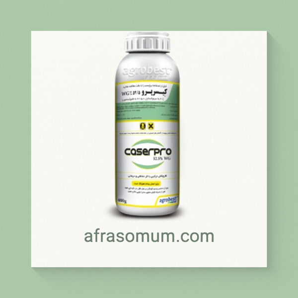 کیسر پرو 525 دبلیو – جی